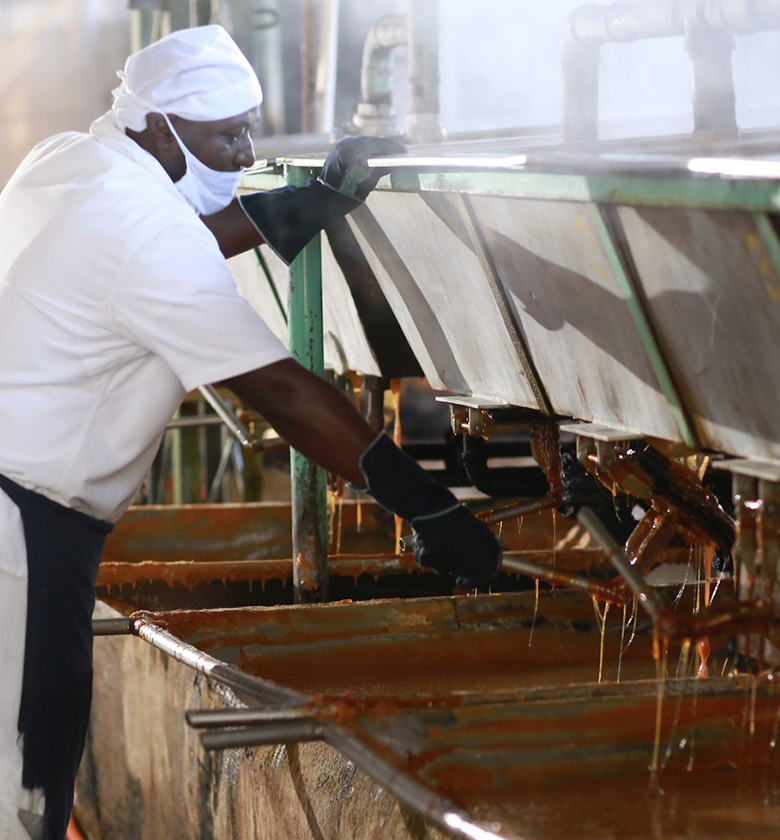 contactenos contactenos